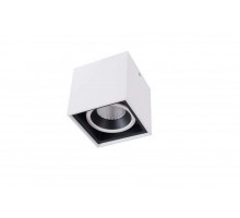 Потолочный светильник Dl18415 DL18415/11WW-SQ White/Black Donolux