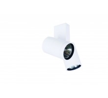 Настенно-потолочный светильник Dl18422 DL18422/12WW-White Donolux