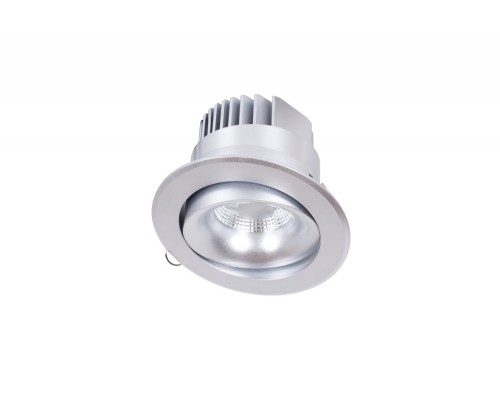 Точечный светильник Dl18465 DL18465/01WW-Silver R Donolux Точечный светильник Dl18465 DL18465/01WW-Silver R Donolux
