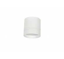 Потолочный светильник Dl18482 DL18482/WW-White R Donolux