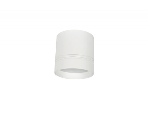 Потолочный светильник Dl18482 DL18482/WW-White R Donolux Потолочный светильник Dl18482 DL18482/WW-White R Donolux