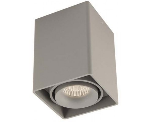 Точечный светильник Lumme DL18611/01WW-SQ Silver Grey Donolux Точечный светильник Lumme DL18611/01WW-SQ Silver Grey Donolux
