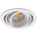 Точечный светильник Lumme DL18615/01WW-R White/Black Donolux