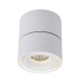 Потолочный светильник DL18617 DL18617/01WW-R White Dim Donolux