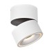 Потолочный светильник DL18617 DL18617/01WW-R White Dim Donolux