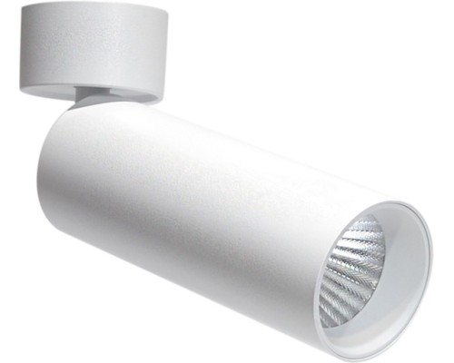 Спот Rollo DL18895R20W1W ST Donolux Спот Rollo DL18895R20W1W ST Donolux