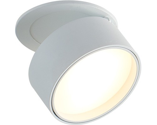 Точечный светильник Bloom DL18959R12W1W Donolux Точечный светильник Bloom DL18959R12W1W Donolux