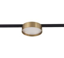 Трековый светильник Luna DL20735WW12Br Donolux