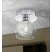 Потолочный светильник Oviedo 1 93066 Eglo