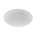 Настенно-потолочный светильник Pilone 97254 Eglo