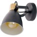 Спот Coswarth 99074 Eglo
