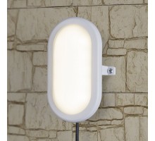 Настенный светильник уличный LTB0102D 12W 4000K белый Elektrostandard