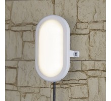 Настенный светильник уличный LTB0102D 6W 4000K белый Elektrostandard