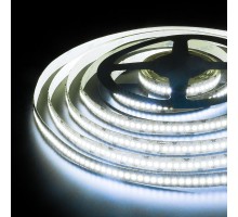 Светодиодная лента 24V 16W IP65 Лента светодиодная 24V 16W 240Led 2835 IP65 холодный белый, 5м Elektrostandard