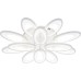 Потолочная люстра Ecla 10242/12LED Escada