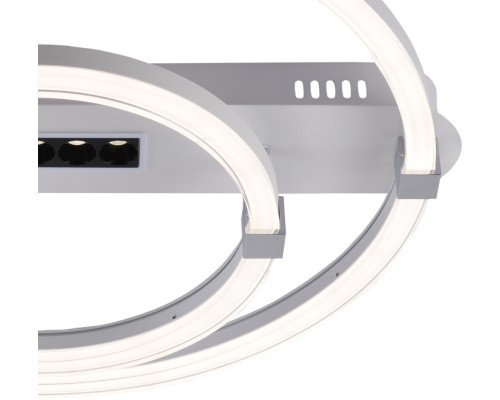 Потолочная люстра Aspect 10253/2LED Escada Потолочная люстра Aspect 10253/2LED Escada