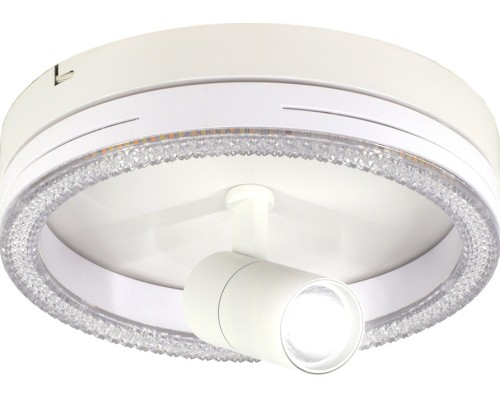 Настенно-потолочный светильник 20044LED 20044SMA/02LED WH Escada Настенно-потолочный светильник 20044LED 20044SMA/02LED WH Escada