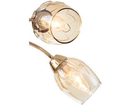 Потолочная люстра Allium 663/5P Escada Потолочная люстра Allium 663/5P Escada