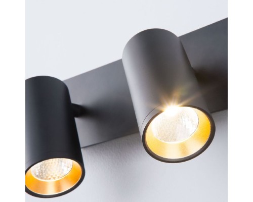 Спот Fleur 20066/2 LED черный / золото Eurosvet
