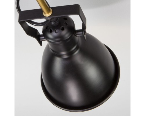 Потолочная люстра Denley 70112/8 черный Eurosvet Потолочная люстра Denley 70112/8 черный Eurosvet