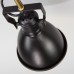 Потолочная люстра Denley 70112/8 черный Eurosvet