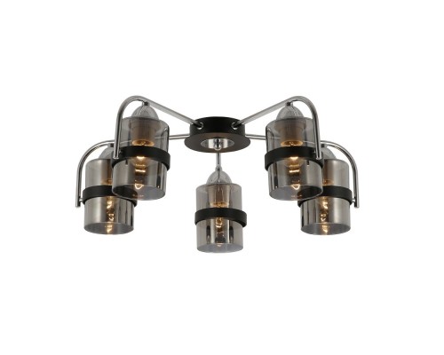 Потолочная люстра Fiumo SLE102002-05 Evoluce Потолочная люстра Fiumo SLE102002-05 Evoluce