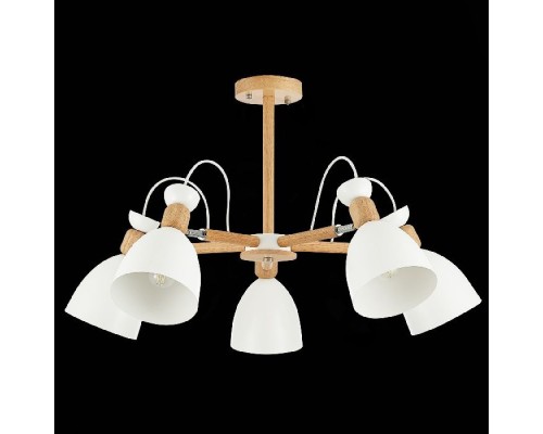 Потолочная люстра Balcamo SLE103802-05 Evoluce Потолочная люстра Balcamo SLE103802-05 Evoluce