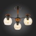 Потолочная люстра Rasco SLE108102-03 Evoluce