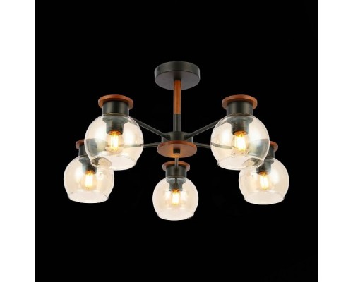 Потолочная люстра Rasco SLE108102-05 Evoluce Потолочная люстра Rasco SLE108102-05 Evoluce
