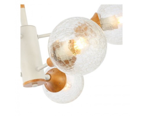 Потолочная люстра Lione SLE109502-06 Evoluce Потолочная люстра Lione SLE109502-06 Evoluce