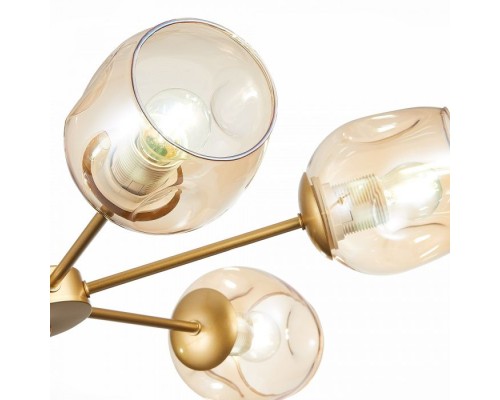 Потолочная люстра Pallo SLE155412-06 Evoluce Потолочная люстра Pallo SLE155412-06 Evoluce