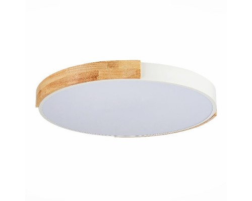 Потолочный светильник Delia SLE201352-01 Evoluce Потолочный светильник Delia SLE201352-01 Evoluce