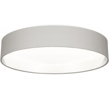 Потолочный светильник Brescia SLE300512-01 Evoluce