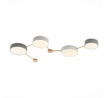 Потолочная люстра Dossena SLE600102-04 Evoluce