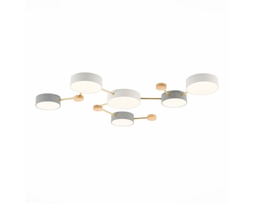Потолочная люстра Dossena SLE600102-06 Evoluce Потолочная люстра Dossena SLE600102-06 Evoluce