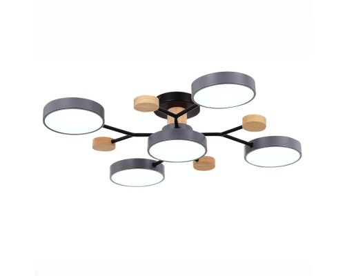 Потолочная люстра Faema SLE6006-702-05 Evoluce Потолочная люстра Faema SLE6006-702-05 Evoluce