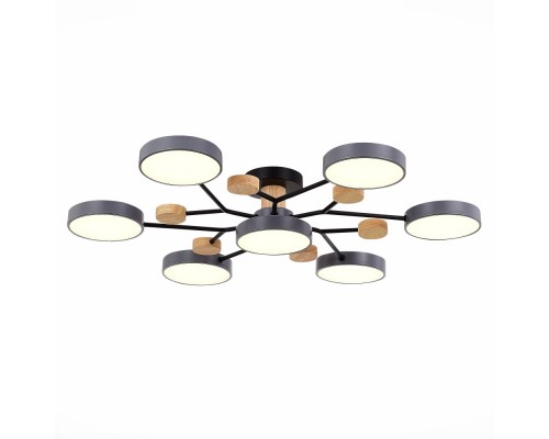 Потолочная люстра Faema SLE6006-702-07 Evoluce Потолочная люстра Faema SLE6006-702-07 Evoluce