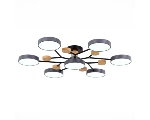 Потолочная люстра Faema SLE6006-702-07 Evoluce Потолочная люстра Faema SLE6006-702-07 Evoluce