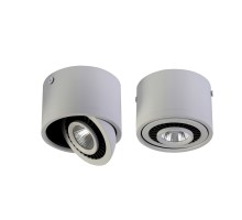 Точечный светильник Reflector 1775-1C Favourite