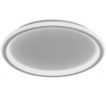 Потолочный светильник Ring 41559 Feron