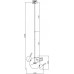 Подвесной светильник Amoris FR5128PL-L10BS1 Freya