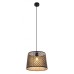 Подвесной светильник Becca 15315S Globo