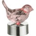 Ночник Vari 28035-24 Globo