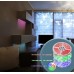 Светодиодная лента Led Band 38990 Globo