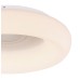 Потолочный светильник Rilla 41296-50R Globo