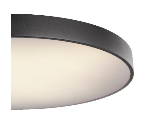 Потолочный светильник Wiss 41744-60S Globo Потолочный светильник Wiss 41744-60S Globo
