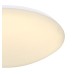Потолочный светильник Atreju I 48363-24C Globo