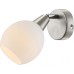 Спот Elliott 54351-1 Globo