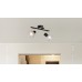 Спот Fassa 54815-2 Globo