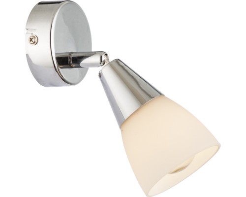 Спот Tadeus 54919-1 Globo Спот Tadeus 54919-1 Globo